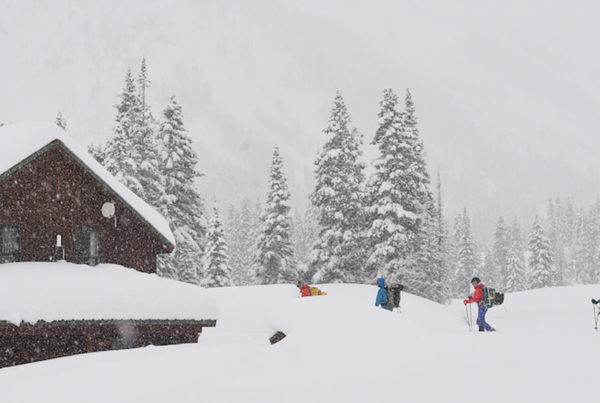 AIARE Level 1 course in the snow