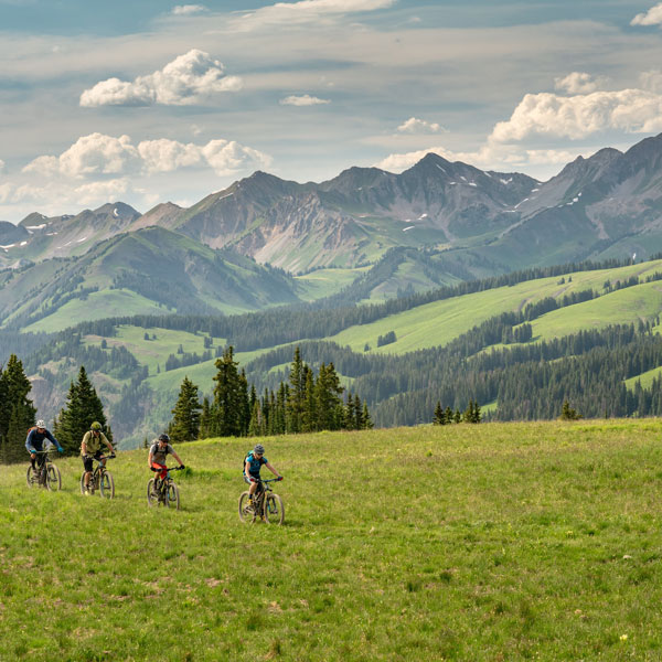 Mountain biking adventure group in the grass.