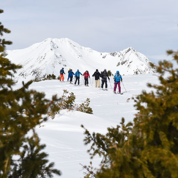 Backcountry Skiing group
