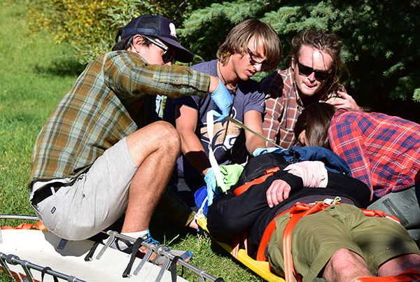 Wilderness Medicine