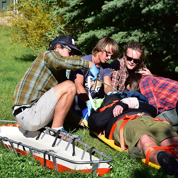 Wilderness Medicine