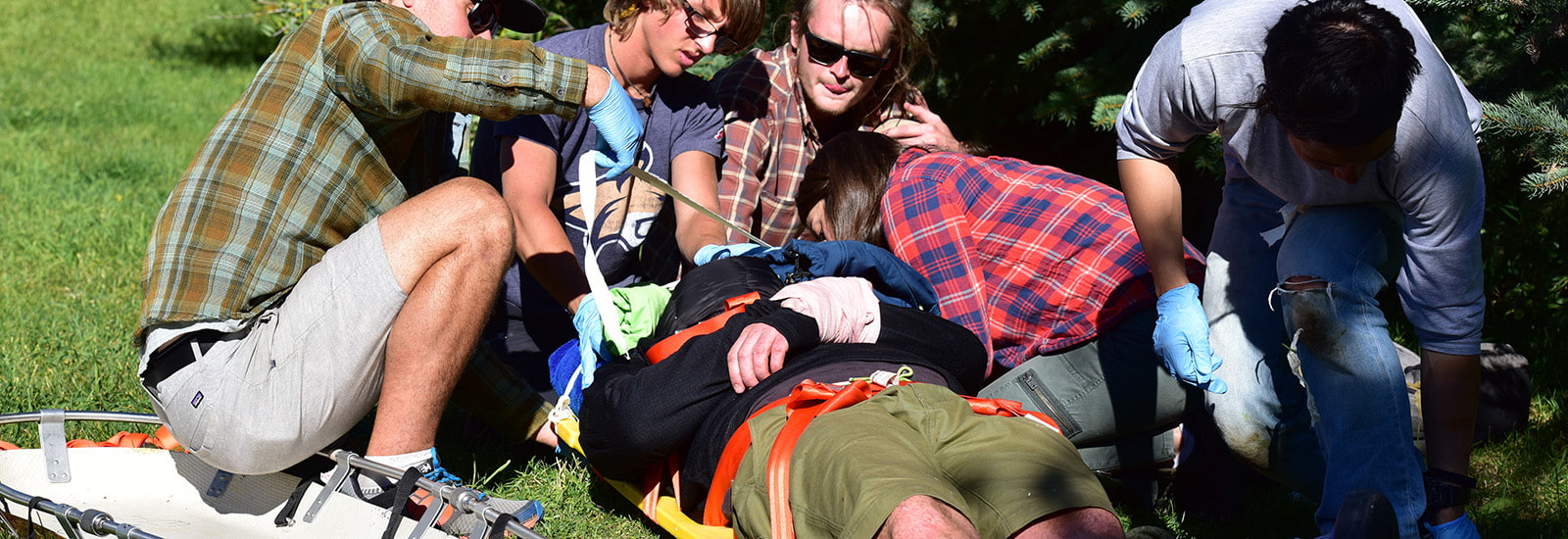 Wilderness Medicine
