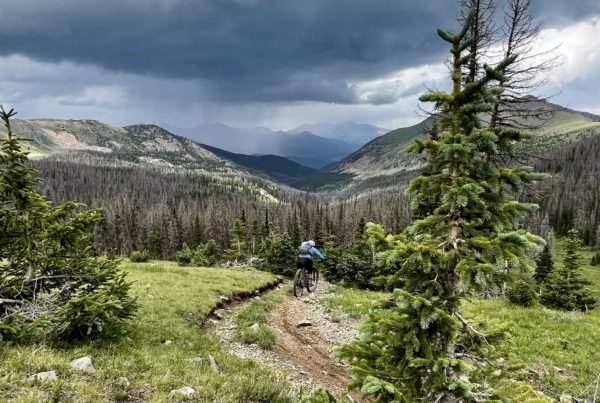 Descending Monarch Crest Mountain Biking Trail